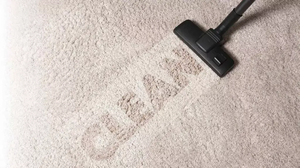 Domestic Cleaning Services header image (1)